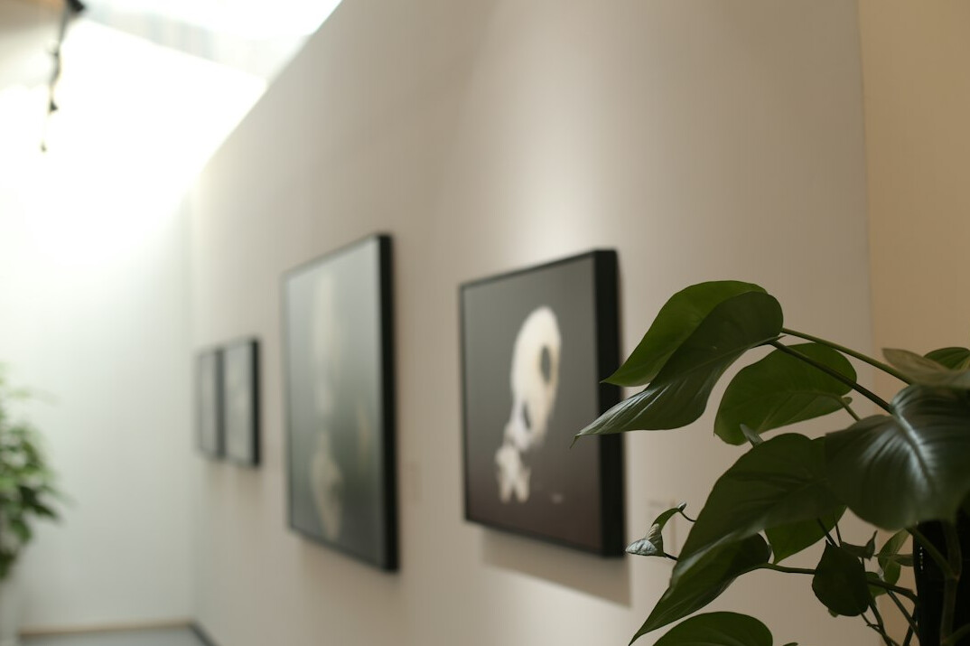 Framed photographic prints displayed on a gallery wall