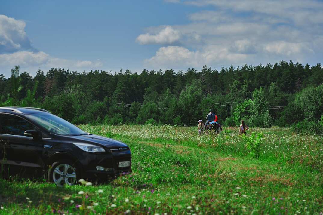 family picking berries in forest