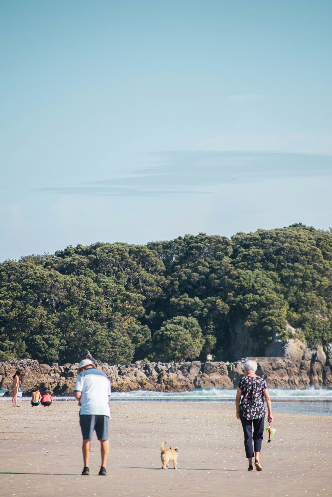 elderly man walking dog on beach